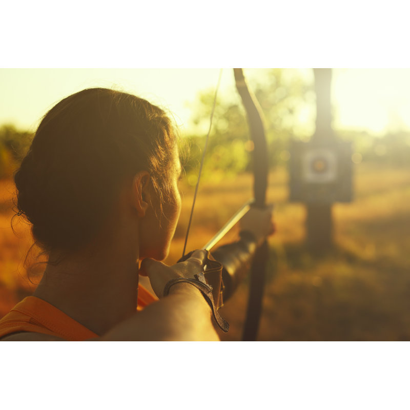 Female Archer In The Field At Sunset by Myshkovsky - No Frame Art Prints on Canvas, 61cm H x 91cm W