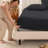 260 Thread Count Organic Cotton Percale Fitted Sheet-60582307-110687272