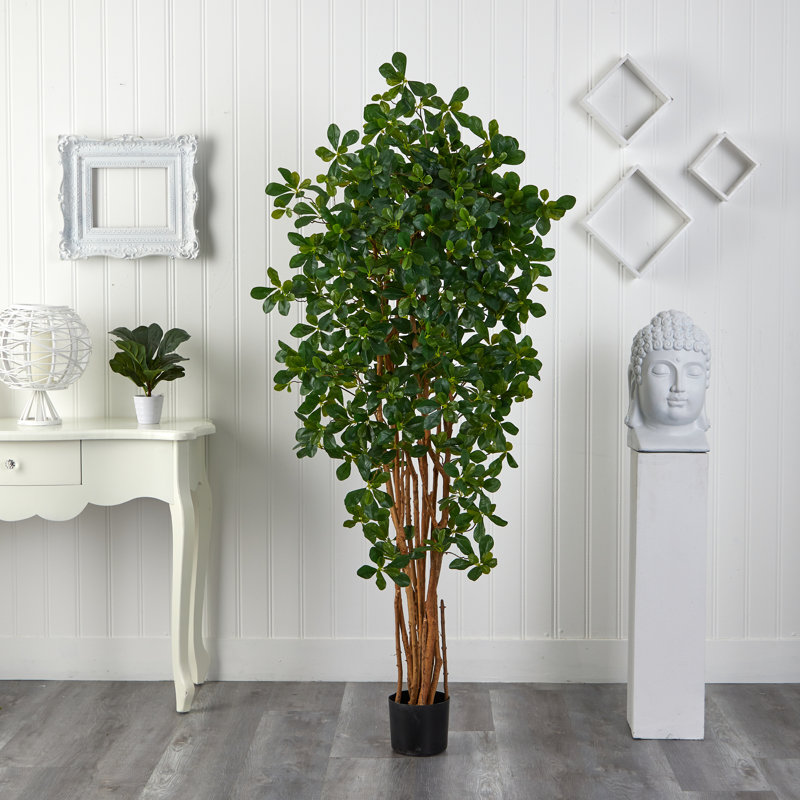 72 " H Faux Olive Tree in Plastic Pot