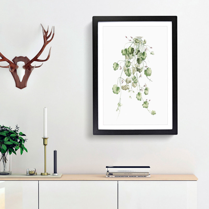 Kenilworth Ivy Flowers by Pierre-Joseph Redoute - Picture Frame Graphic Art Print, 48cm H x 36cm W x 2cm D, Black Framed