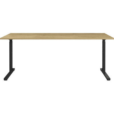 Chien Metal Base Executive Desk