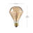 Cody 40 Watt (40 Watt Equivalent), G25 Incandescent, Dimmable Light Bulb, Tunable White E26/Medium (Standard) Base