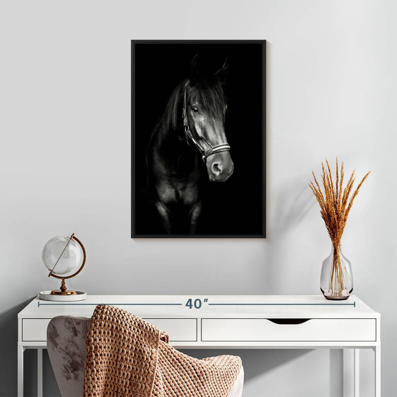 Cheval noir dans le noir, Cadre flottant noir, 17 po x 25 po