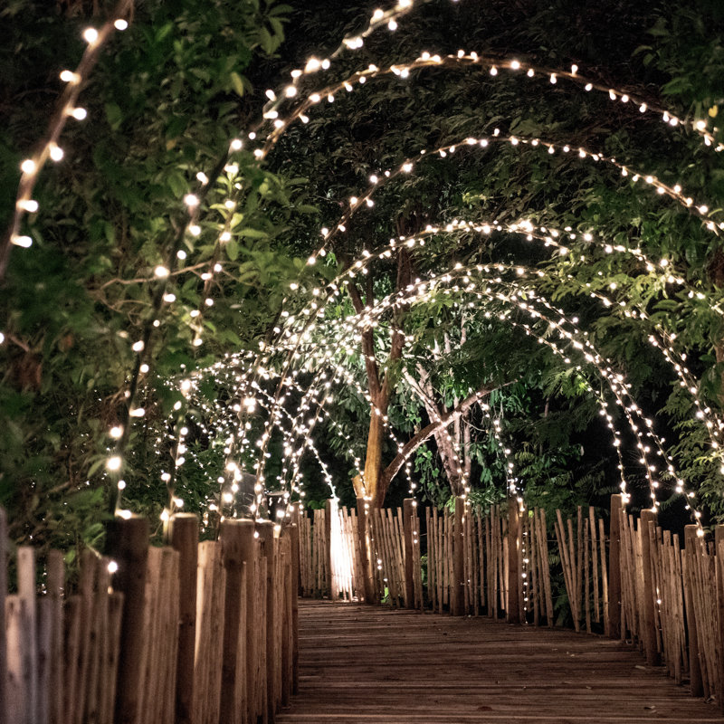 Ahkeel 1090Cm LED Solar Powered 100 - Bulb Mini String Light (End to End Connectable), Bright White