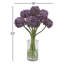 ALLIUM MOUNT EVEREST IN GLASS