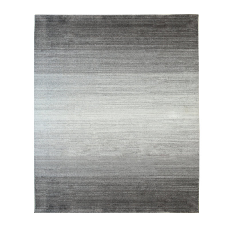 Tapis brun transitionnel Anayra, Rectangle de 10 pi x 14 pi