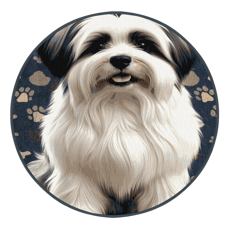  Tapis lavable bolognaise pour chiens, Rond 7 pi