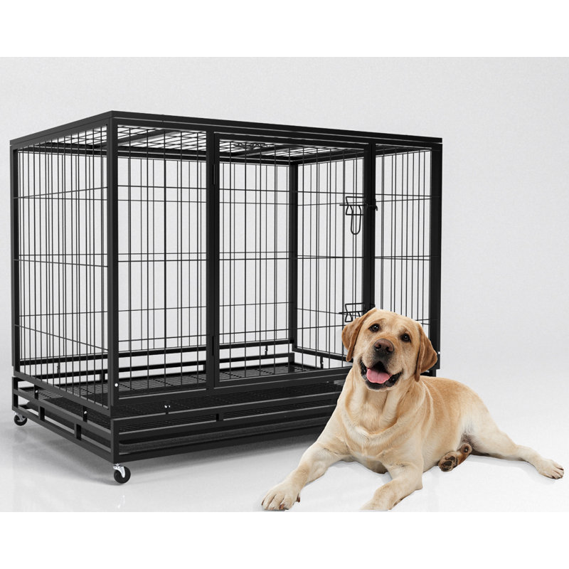 Cage à cage robuste et robuste pour chien, Moyen (H 30 po x l 36 po x P 25 po)