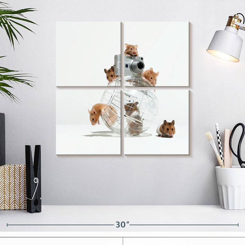 Brampt image de hamster parfait, H 18 po x l 18 po