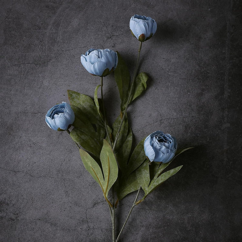 Arrangement