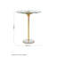 Sika Glass Top End Table