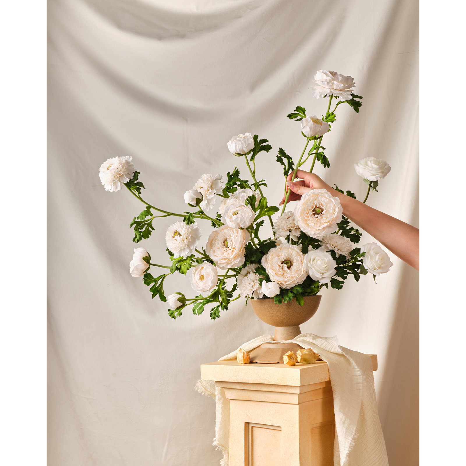 Ranunculus Stems