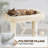 Manorbier 63'' H Cat Tree-934833414
