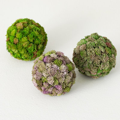 Hatherleigh 4.25'' Faux Sedum Topiary