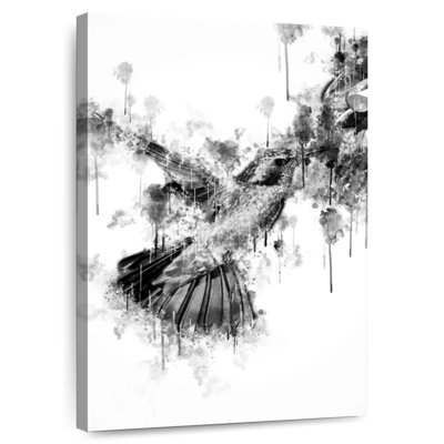 Colibri brun et noir