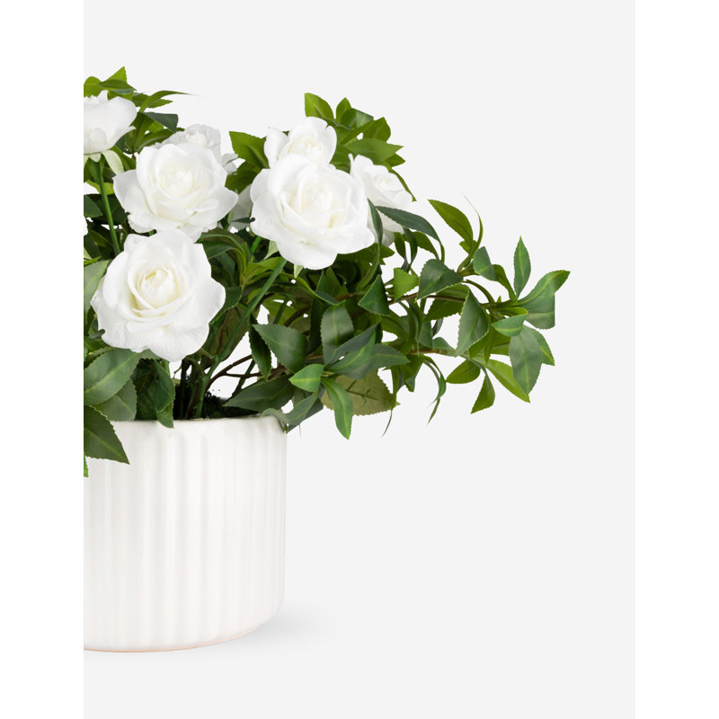 Lucienne Realtouch Rosebush Arrangement