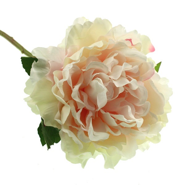 Arrangement, Pink
