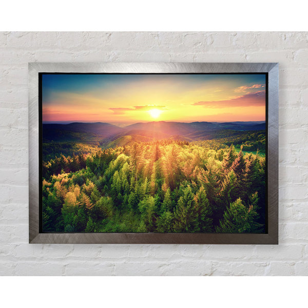 Sun Rays Frame Image Bright Star Sunrays Over A Green Woodland - Single Picture Frame Print ...