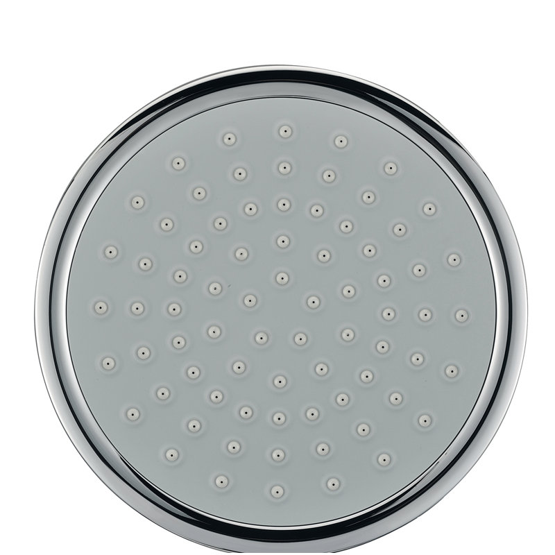 Ruthanne Fixed Shower Head