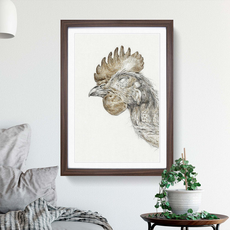 Head of a Chicken by Jean Bernard - Picture Frame Drawing Print, Walnut Framed, 65cm H x 48cm W x 2cm D