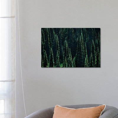 Fir Forest by Dennis Frates - Print on Canvas