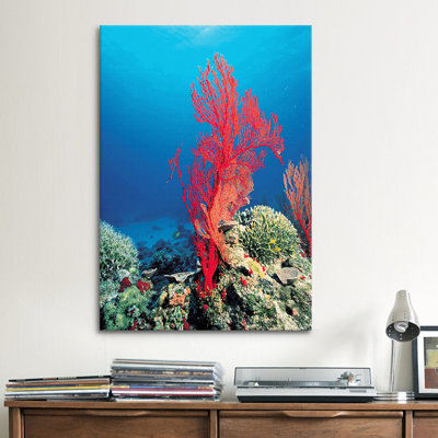 Marine et océan, corail rouge, estampe numérique sur toile tendue