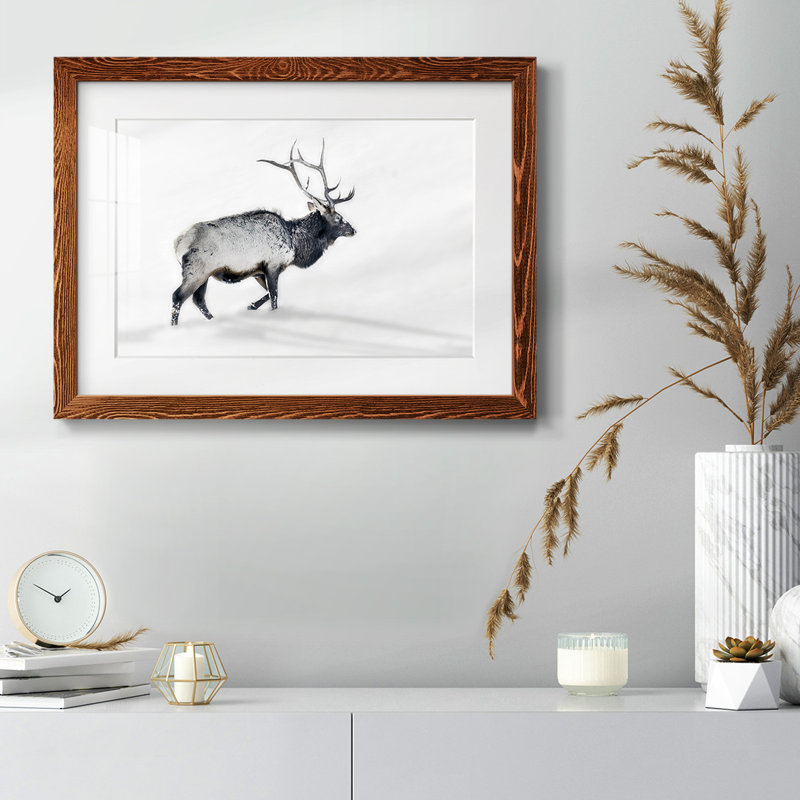 Lone Bull encadré sur papier, Érable, H 18 po x l 26 po x P 1,5 po