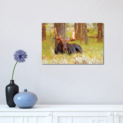 Resting by Brian Wolf - Wrapped Canvas Print