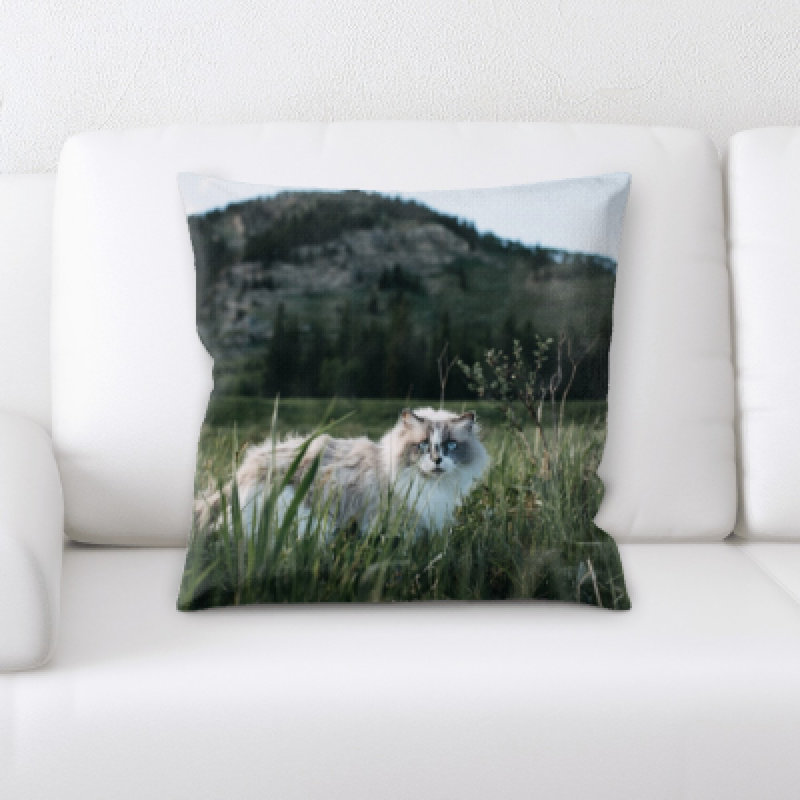 Coussin pour chat