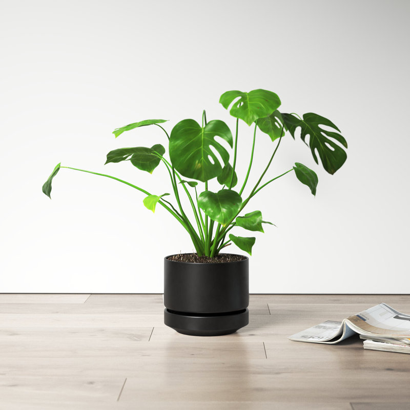 Byer Handmade Ceramic Pot Planter, Black, 7.5" H x 8.75" W x 8.75" D