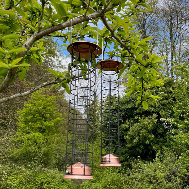 Galles Metal Hanging Suet Bird Feeder