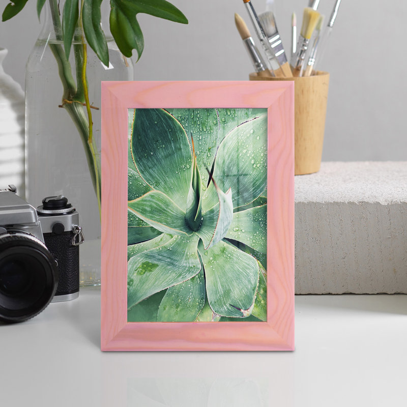 «Green Tropical Succulent I», reproduction de cadre photo simple, H 9 po x l 7 po x P 1 po, Rose