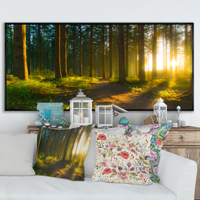 Lever de soleil dans la forêt verte - Photographie sur toile