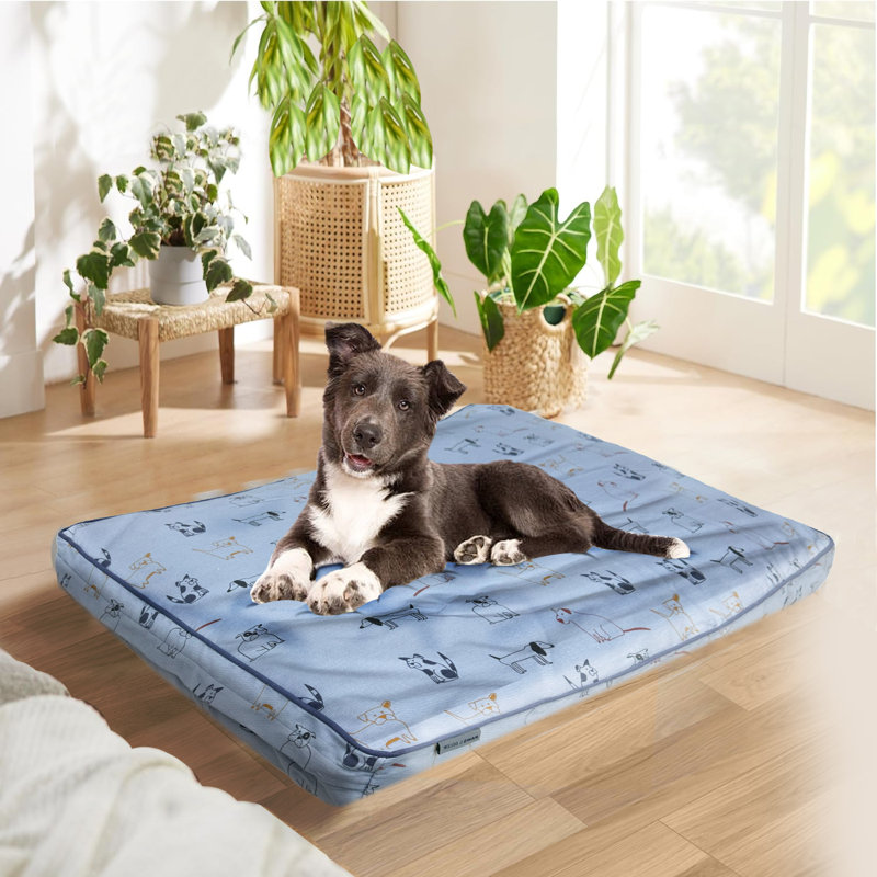 Ennice Polyester Pet Bed, 4.5" H x 40" W x 28" D, Blue