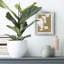 Chunky Abstract Art Gallery-1789919449-1789919451