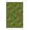 Performance Wool Indoor Rug