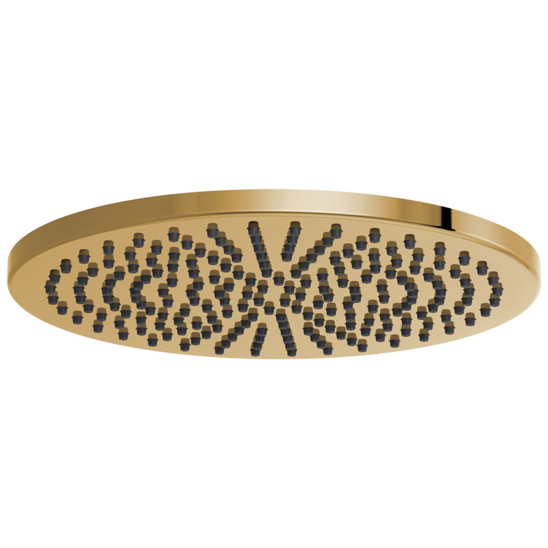 Essential™ Rain Adjustable Shower Head, Polished Gold, 2.5 GPM