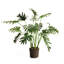 Faux Fern Plant