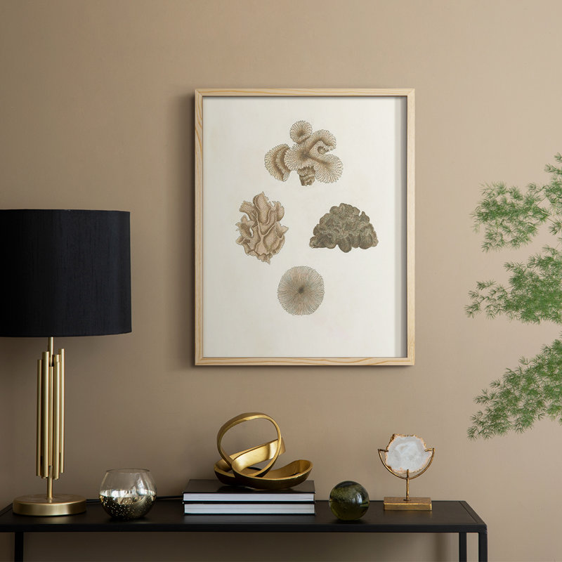 Knorr Shells & Coral VIII, reproduction encadrée - bois massif, H 11 po x l 9 po