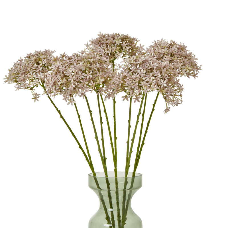 Anastasija Arrangement, Pink