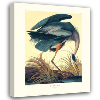 «Lark Manor» Audubon, John James, reproduction d'art sur toile tendue «Great Blue Heron» (bordure décorative)