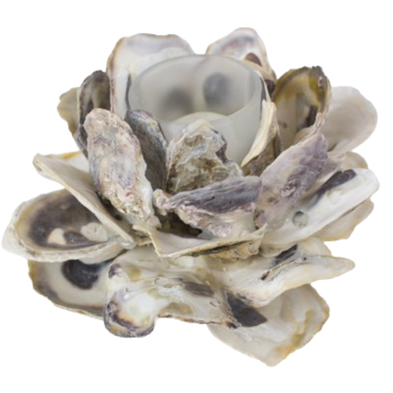  Flower-Shaped Oyster Shell Candle Holder 3" H Set of 4