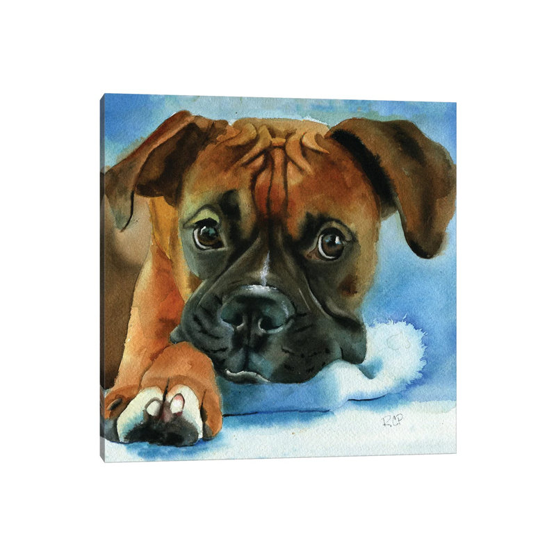 Boxer Baby by Rachel Parker - Painting on Canvas, Wrapped Canvas, 66.04 cm H x 66.04 cm W x 3.175 cm D