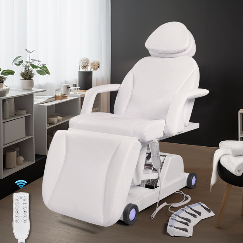 Alwyn Home Full Electrical Adjustable Facial Bed Reclining Massage Chair With 3 Color Light