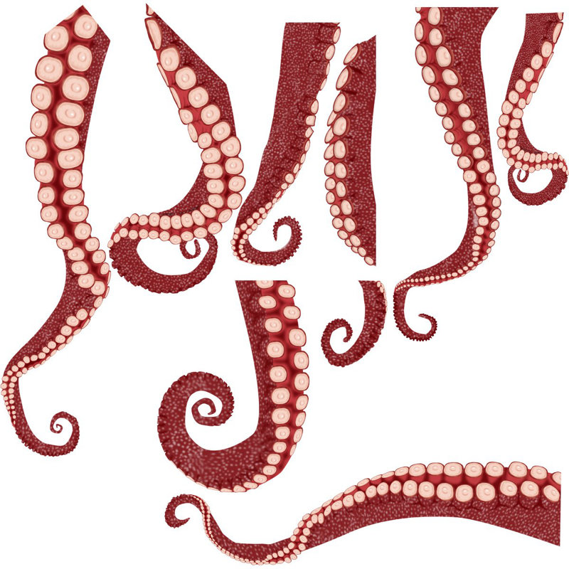 Autocollant mural tentacules en vinyle octopus Jackman