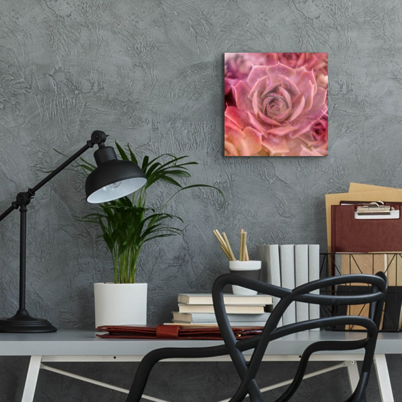 «Succulents 04» par Lightbox Journal, H 12 po x l 12 po x P 0,13 po