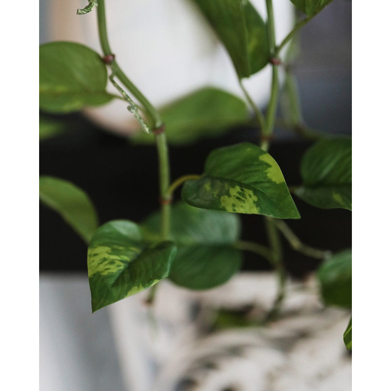 Pothos artificiel suspendu 22 po