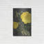 «Yellow Vine» par Lettré et doublé-1507513960