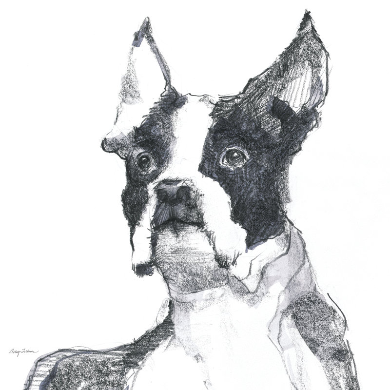 Ulysses Sitting Pretty by Avery Tillmon - Wrapped Canvas Print, 30cm H x 46cm W x 3.8cm D