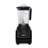 Salton 1.2 Qt. Compact Power Blender-63248896
